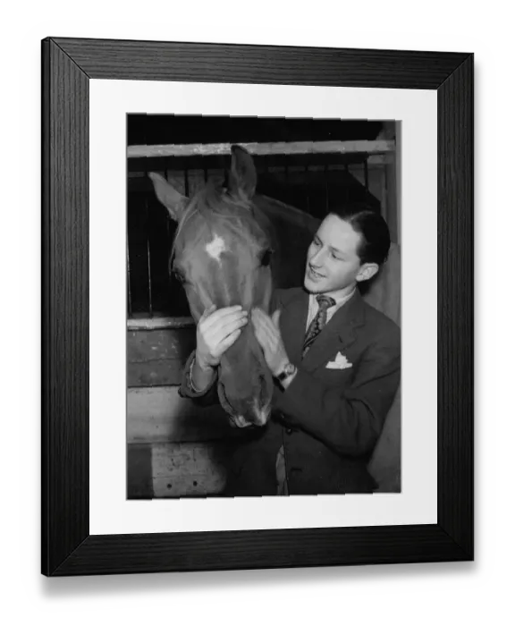 Framed Print : Horse in its stable with its trainer before a show at the Olympia Circus, London Framed Print : Horse in its stable with its trainer before a show at the Olympia Circus, London