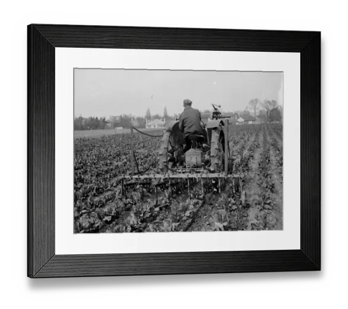 Framed Print : Harrowing. 1935