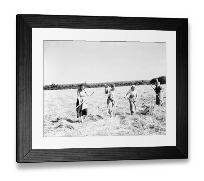Framed Print : Farm workers in Farningham making hay. 1935 Framed Print : Farm workers in Farningham making hay. 1935