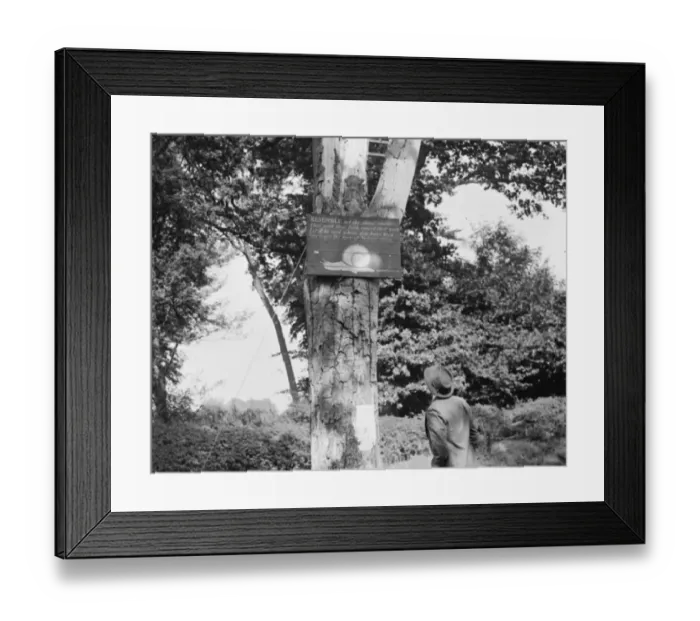 Framed Print : An old snail sign in Eynsford, Kent. 1936 Framed Print : An old snail sign in Eynsford, Kent. 1936