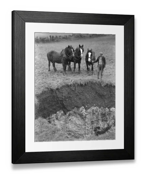 Framed Print : A farmer with a team of horses examine the site where subsidence has taken place Framed Print : A farmer with a team of horses examine the site where subsidence has taken place
