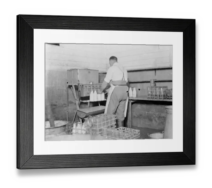 Framed Print : Filling milk bottles. 1935 Framed Print : Filling milk bottles. 1935