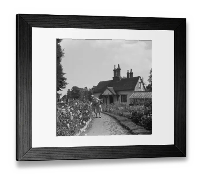 Framed Print : 300 year old cottage in Foots Cray. 1936 Framed Print : 300 year old cottage in Foots Cray. 1936