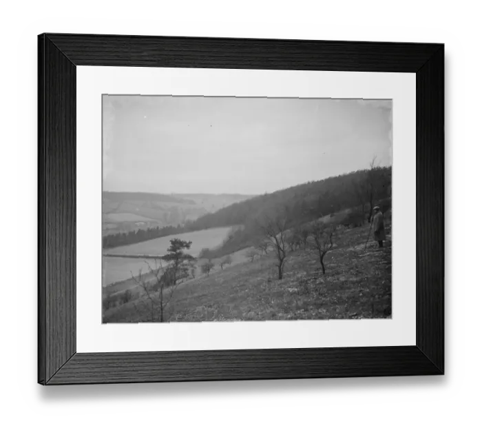 Framed Print : A farmer and his dog stands to view his fields at Preston hill farm estate