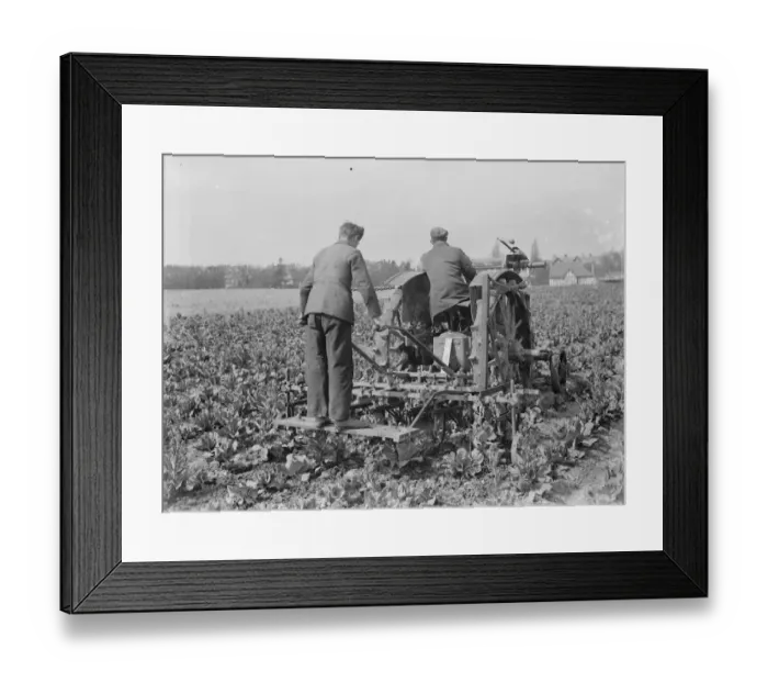 Framed Print : A farmer and his tractor at work in a field. 1935 Framed Print : A farmer and his tractor at work in a field. 1935