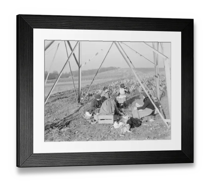 Framed Print : Farm workers sitting under a pylon, eating their lunch. 1936 Framed Print : Farm workers sitting under a pylon, eating their lunch. 1936