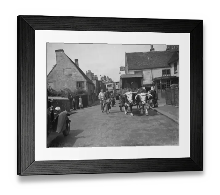 Framed Print : A bullock and cart in Sidcup, Kent. 1938 Framed Print : A bullock and cart in Sidcup, Kent. 1938