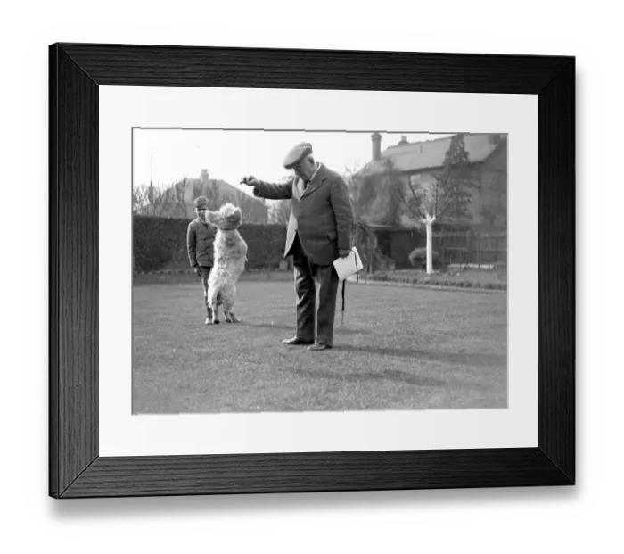 Framed Print : Mr Hammond making a dog jump in Sidcup, Kent. 1934 Framed Print : Mr Hammond making a dog jump in Sidcup, Kent. 1934
