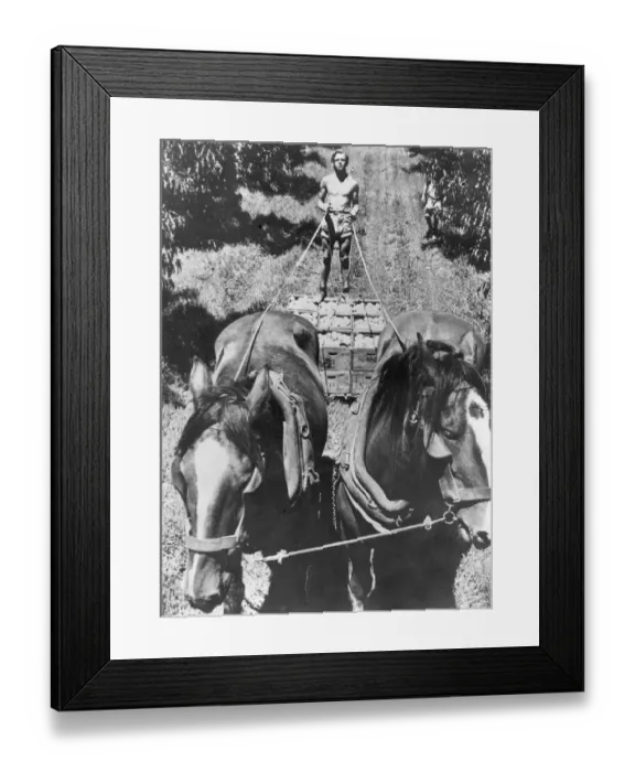 Framed Print : While Britain shivers in the grip of a cold spell and fuel cuts, Victoria, Australia