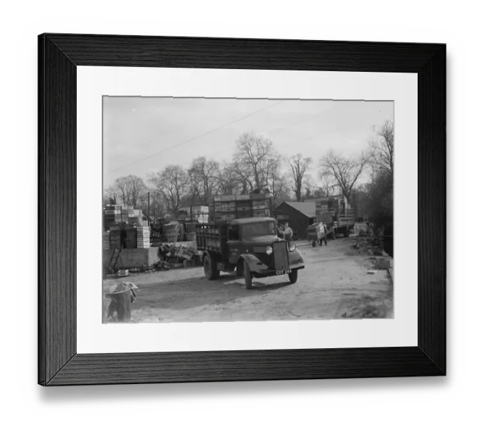 Framed Print : Workers loading wooden crates onto a Bedford truck belonging to E James and Son Framed Print : Workers loading wooden crates onto a Bedford truck belonging to E James and Son