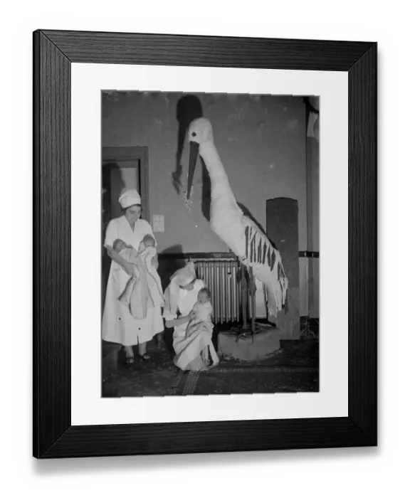 Framed Print : New babies from the maternity ward encounter a model stork at the Russell Stoneham Framed Print : New babies from the maternity ward encounter a model stork at the Russell Stoneham