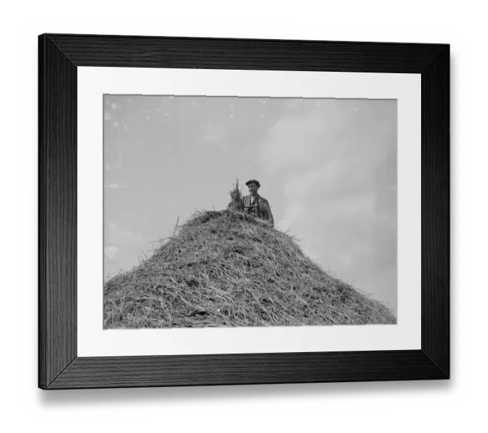 Framed Print : Thatching rick. 1935 Framed Print : Thatching rick. 1935
