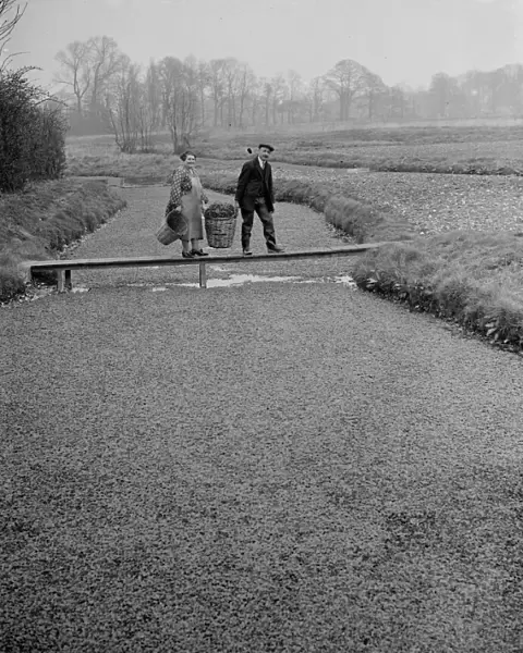 The Watercress beds in Footscray, Kent cared for by Mr and Mrs Johnstone seen walking