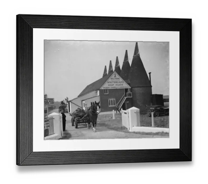 Framed Print : Whitbreads hop farm in Belting, Kent. The kilns where the hops are dried. 1938 Framed Print : Whitbreads hop farm in Belting, Kent. The kilns where the hops are dried. 1938