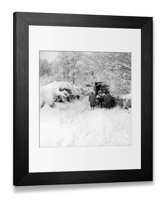 Framed Print : Rescuing the cattle form the heavy snow in Ide Hill. 31st December 1962 Framed Print : Rescuing the cattle form the heavy snow in Ide Hill. 31st December 1962