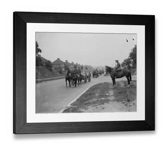 Framed Print : Army manoeuvers in Orpingon, Kent. Horses draw artillery pieces Framed Print : Army manoeuvers in Orpingon, Kent. Horses draw artillery pieces