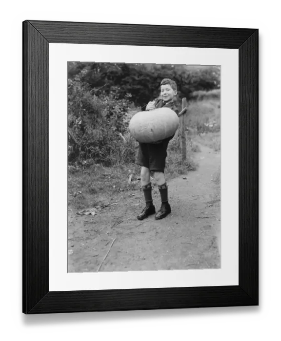 Framed Print : Edward Harrison from North Cray, Kent, poses with the pumpkin that he grew. 1938 Framed Print : Edward Harrison from North Cray, Kent, poses with the pumpkin that he grew. 1938