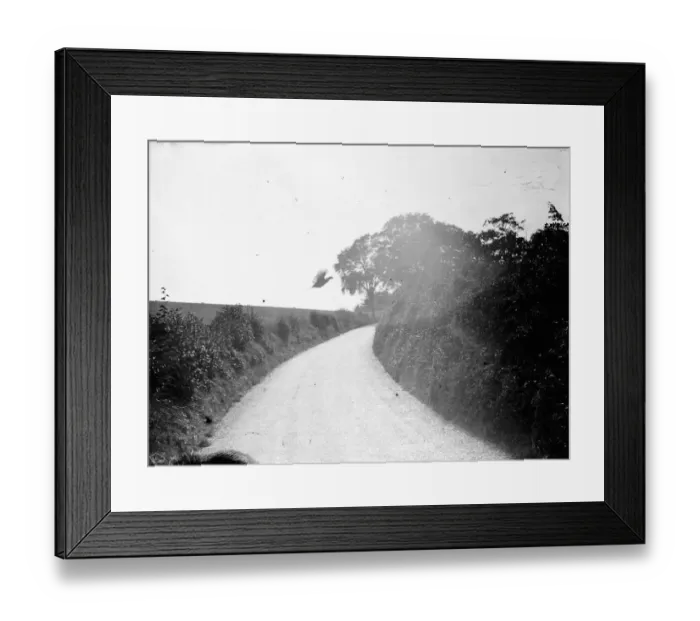 Framed Print : A pheasant flys across a country lane in Gravesend, Kent. 1938 Framed Print : A pheasant flys across a country lane in Gravesend, Kent. 1938