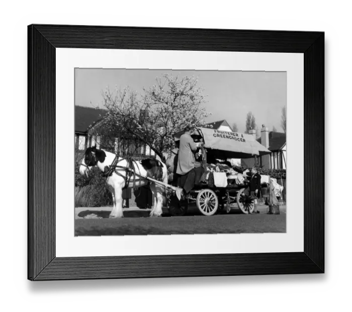 Framed Print : Horse-drawn fruiterer and greengrocer on his rounds in 1955 Framed Print : Horse-drawn fruiterer and greengrocer on his rounds in 1955