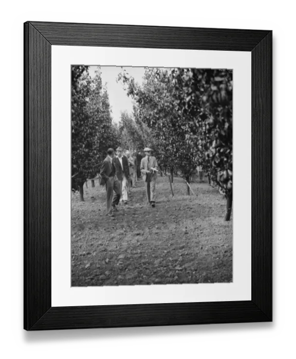 Framed Print : Mr J Amos showing people around at the East Malling Research Station open day in Kent
