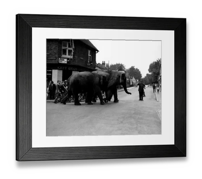 Framed Print : You spend eight hours on a traffic point and stagger back to the station. You flop Framed Print : You spend eight hours on a traffic point and stagger back to the station. You flop