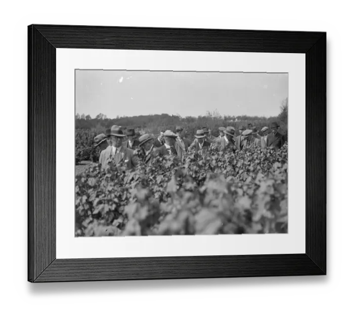 Framed Print : Fruit tour. National Farmers Union (England and Wales). 1935 Framed Print : Fruit tour. National Farmers Union (England and Wales). 1935