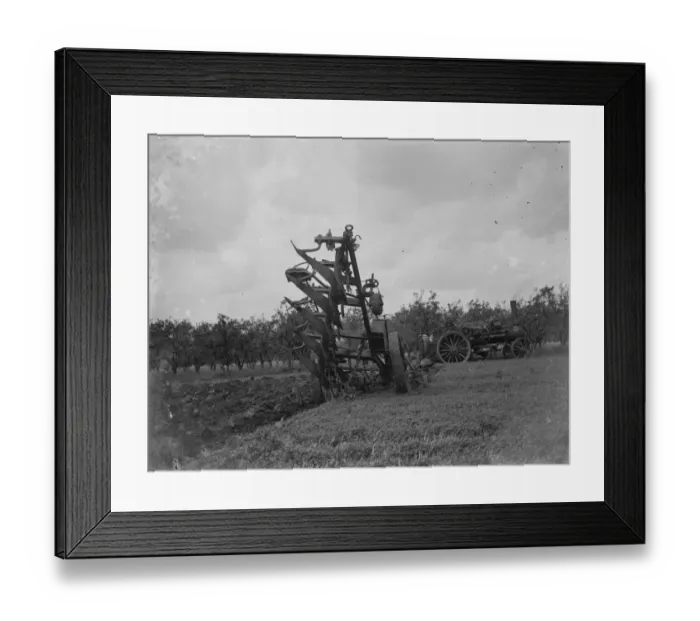 Framed Print : A farmer uses a steam engine to plough a field. 1935