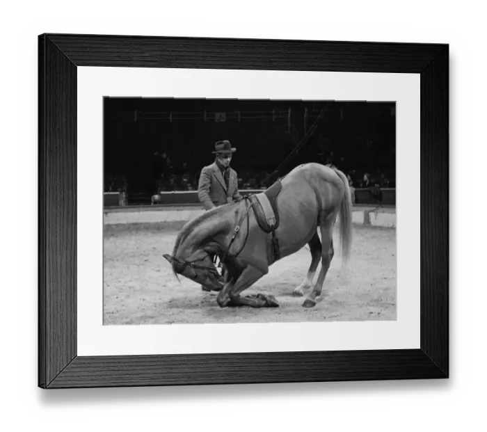 Framed Print : Trainer with his horse rehearsing before a show at the Olympia Circus, London, England Framed Print : Trainer with his horse rehearsing before a show at the Olympia Circus, London, England