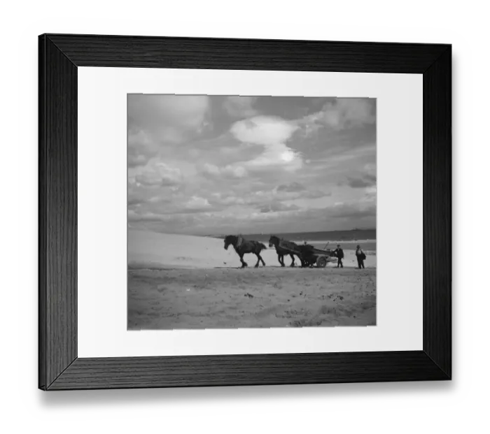 Framed Print : Locals fill a horse and cart with sand. 1936 Framed Print : Locals fill a horse and cart with sand. 1936