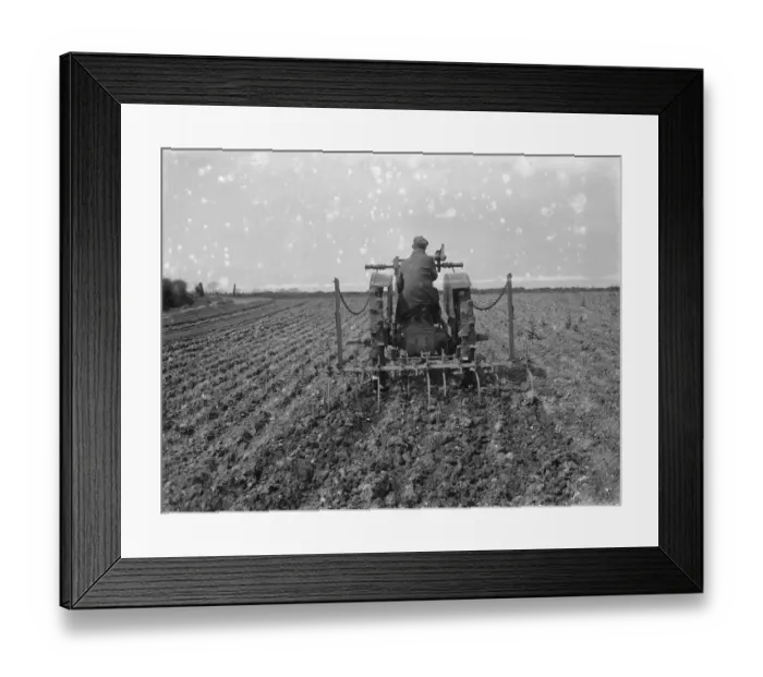 Framed Print : A farmer on his tractor cultivates a field. 1935 Framed Print : A farmer on his tractor cultivates a field. 1935
