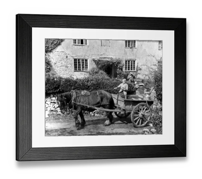 Framed Print : Grand old lady farmer from Devonshire with her horse and cart and milk churns. May 1950 Framed Print : Grand old lady farmer from Devonshire with her horse and cart and milk churns. May 1950
