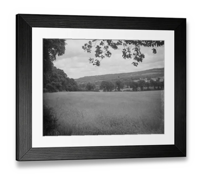 Framed Print : A cornfield. 1935 Framed Print : A cornfield. 1935