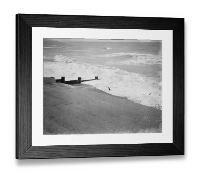 Framed Print : Wild ducks on New Romney beach in Kent. 1939 Framed Print : Wild ducks on New Romney beach in Kent. 1939