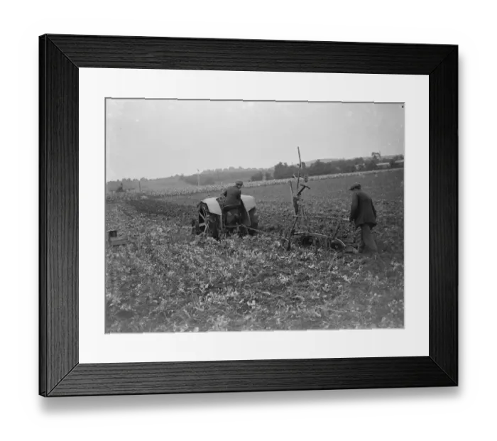 Framed Print : A farmer and his tractor plough a field. 1935 Framed Print : A farmer and his tractor plough a field. 1935