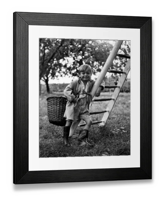 Framed Print : Graham Head aged 4 of Bunham, near Rochester, Kent, travels the Kentish orchards Framed Print : Graham Head aged 4 of Bunham, near Rochester, Kent, travels the Kentish orchards