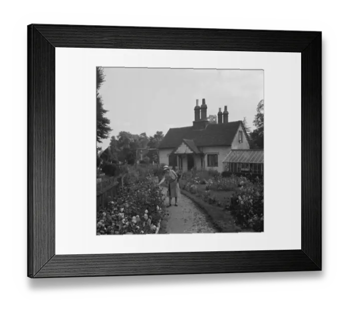 Framed Print : 300 year old cottage in Foots Cray. 1936 Framed Print : 300 year old cottage in Foots Cray. 1936