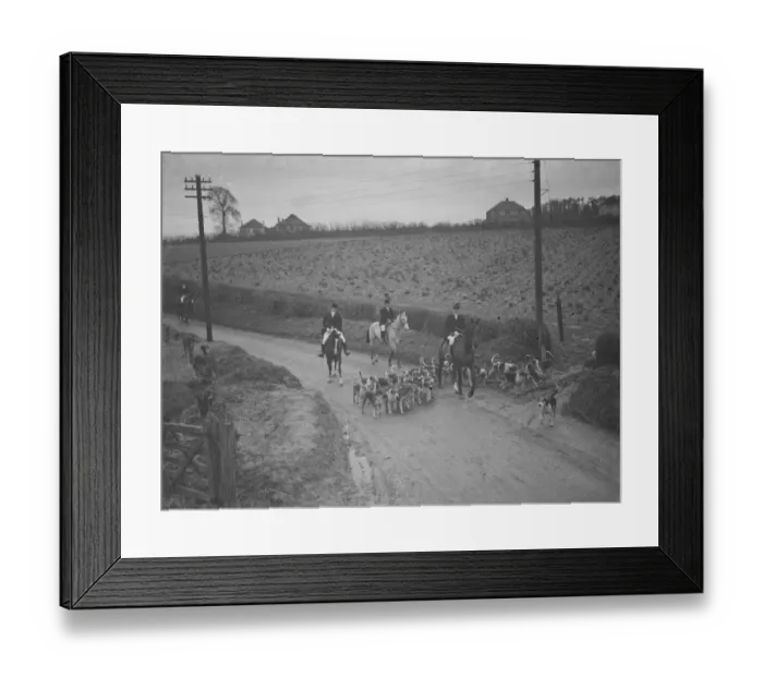 Framed Print : The huntsmen and their hounds follow the scent down the road. 31 January 1938 Framed Print : The huntsmen and their hounds follow the scent down the road. 31 January 1938