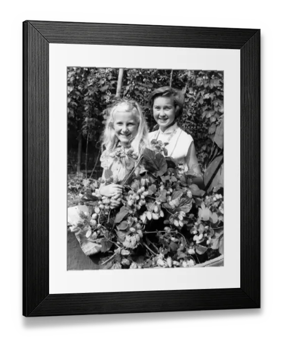 Framed Print : Sisters Angela and Jennifer Hall in the hop fields Paddock Wood Kent 1958