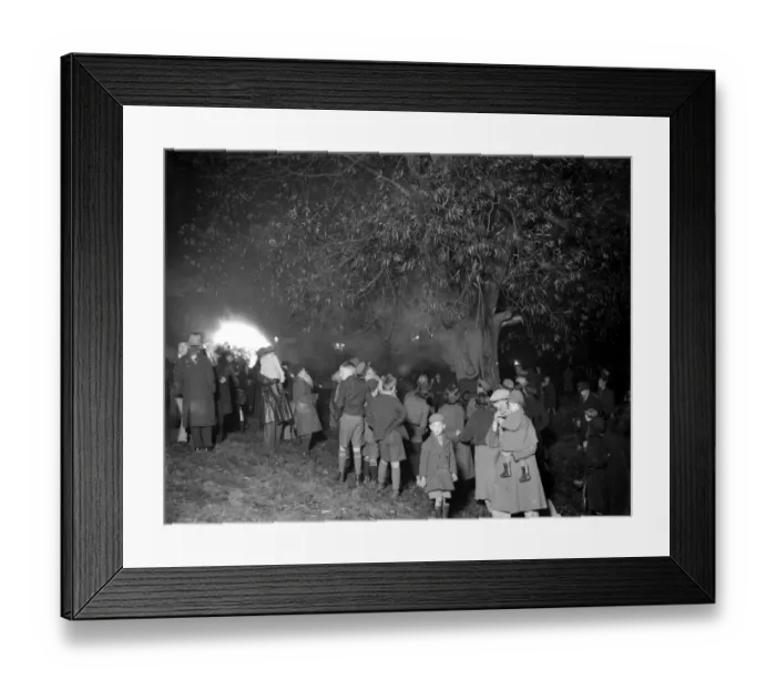 Framed Print : Tree fire in Chislehurst, Kent. 5 November 1934 Framed Print : Tree fire in Chislehurst, Kent. 5 November 1934
