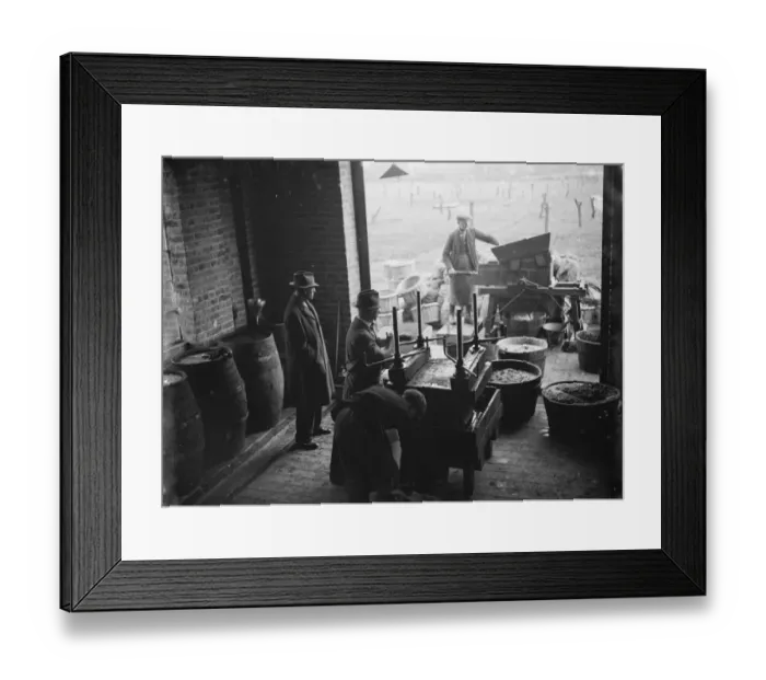 Framed Print : Crockenhill Woods December. 1934 Framed Print : Crockenhill Woods December. 1934