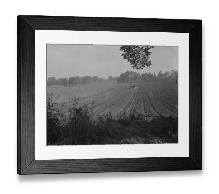 Framed Print : A farmer fertilising a fields with his tractor. 1939 Framed Print : A farmer fertilising a fields with his tractor. 1939