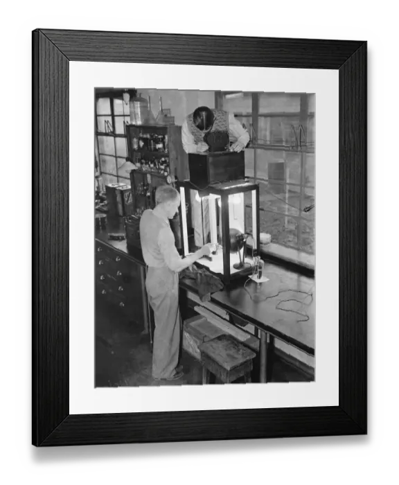 Framed Print : Testing a Handimac ultraviolet ray light for killing bugs at the East Malling Research Framed Print : Testing a Handimac ultraviolet ray light for killing bugs at the East Malling Research