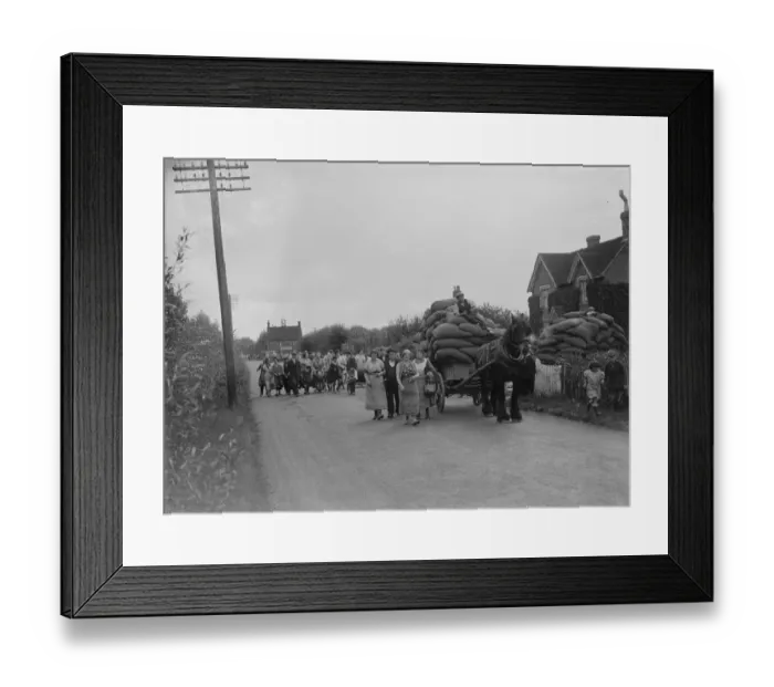 Framed Print : Hop picking. 1935 Framed Print : Hop picking. 1935