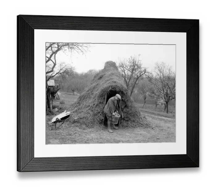 Framed Print : Charcoal burners hut 1935 Framed Print : Charcoal burners hut 1935