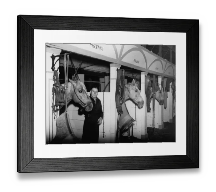 Framed Print : Horses with their groomsman in their stables before a show at the Olympia Circus Framed Print : Horses with their groomsman in their stables before a show at the Olympia Circus