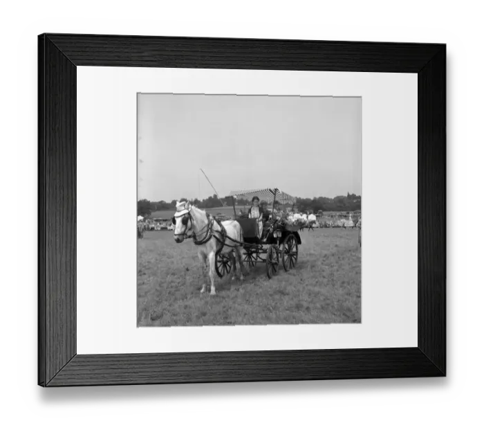 Framed Print : The Edenbridge and Oxted Show - 2 August 1960 An attractive turnout in the period