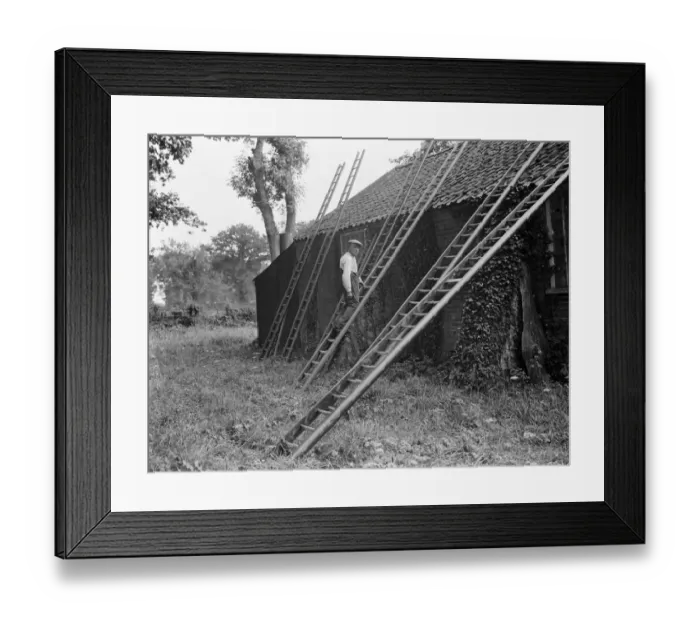 Framed Print : Samuel Hook, Scottow, ladder maker. 1937 Framed Print : Samuel Hook, Scottow, ladder maker. 1937