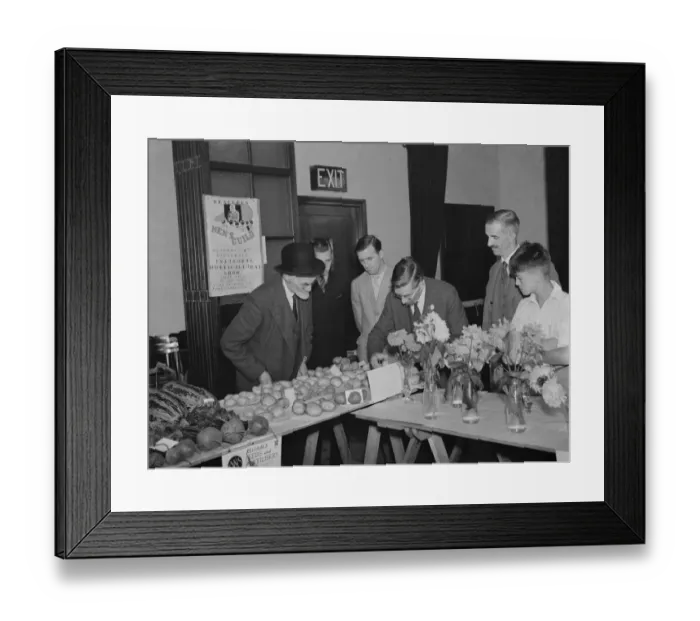 Framed Print : The judging the vegetables at the Days Lane Horticultural Show, Sidcup. ( F P White )