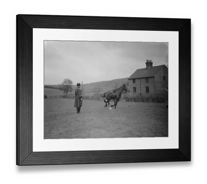 Framed Print : Horse trick riding in Eynsford, Kent. Hanging from the stirrup and picking an