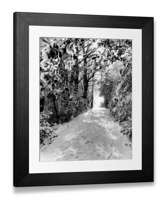 Framed Print : A snowy scene of a path through the woods, Kent, England 30 January 1958 Framed Print : A snowy scene of a path through the woods, Kent, England 30 January 1958